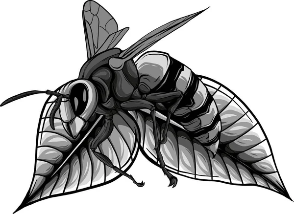 Yaprak Üzerindeki Arıların Tasarım Sanatı — Stok Vektör