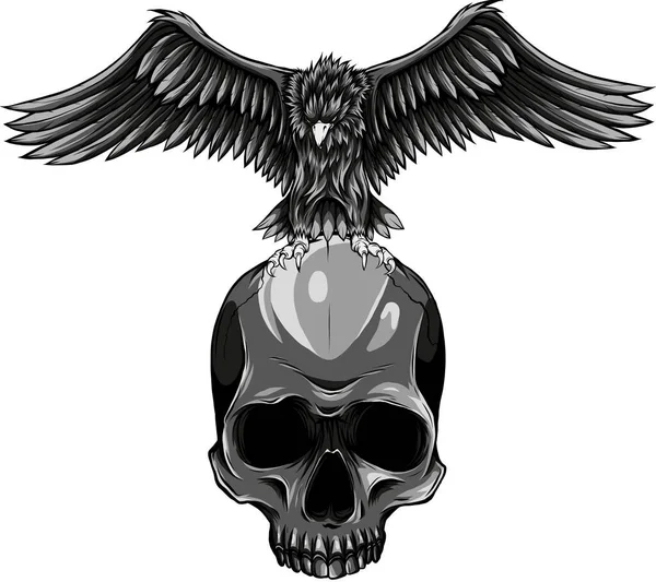 Abbildung Des Adlers Auf Menschlichem Schädel — Stockvektor