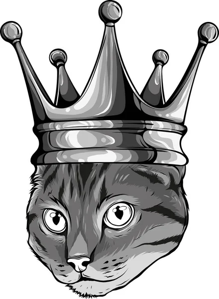 Иллюстрация Кота Короне Белом Фоне — стоковый вектор