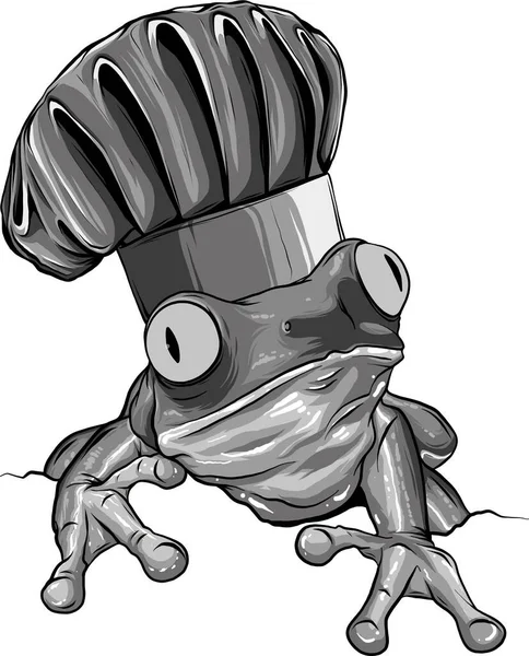 Illustratie Van Kikker Chef Kok Cartoon Mascotte — Stockvector