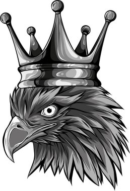 Falcon Eagle 'ın baş kralının çizimi