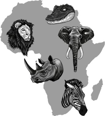 Afrika 'nın vahşi yaşamı, dünya kıtası. Flora ve Fauna.