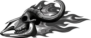 Ateşli inek kafatası tasviri