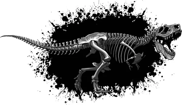 Tyrannosaurus Rex Rex Skeleton Barevný Vektor Ilustrace — Stockový vektor