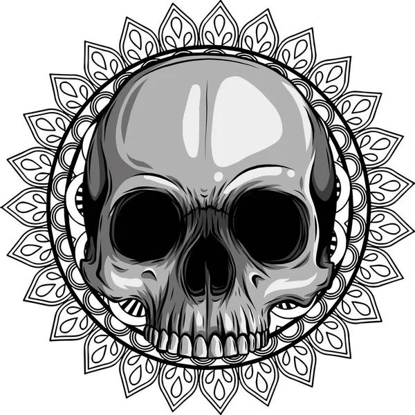 Crâne Humain Avec Ornement Avec Noeuds Celtiques — Image vectorielle