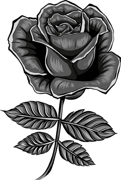 葉を持つバラの花のイラスト — ストックベクタ