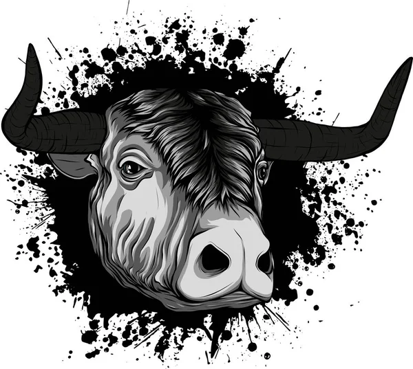 Head Bull Isolated White — Stock Vector