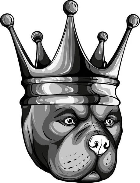 Illustrazione Della Testa Pitbull Cane Nella Corona — Vettoriale Stock