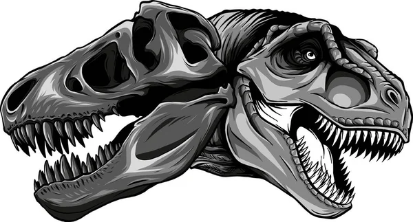Ilustrasi Tyrannosaurus Rex Dengan Tengkorak - Stok Vektor