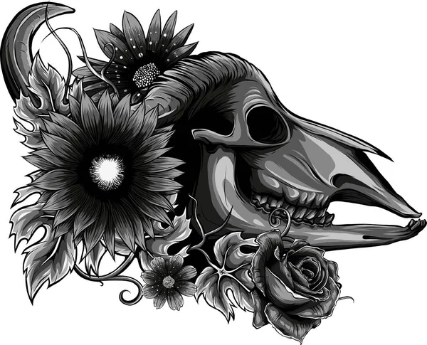 Illustration Buffalo Skull Och Blommor — Stock vektor
