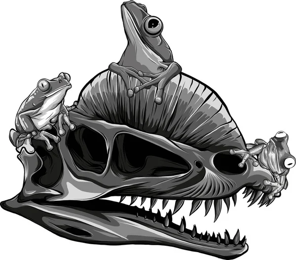 Kurbağalı Etobur Dinazorların Kafataslarının Çizimi — Stok Vektör