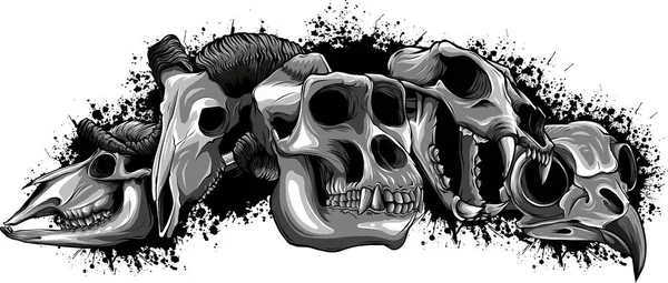 Illustration Set Animal Skull White Background — Stock Vector