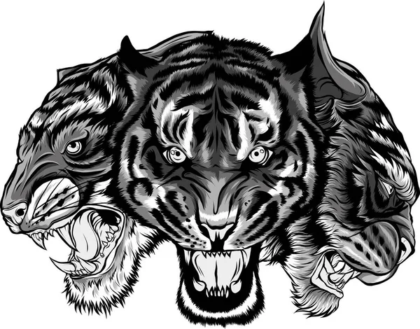 Набор Тигроголовых Векторная Иллюстрация — стоковый вектор