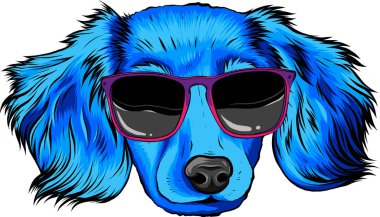 Köpek yüzünün vektör illüstrasyonu