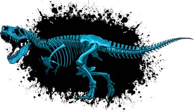 Tyrannosaurus iskelet resmi - vektör çizim.