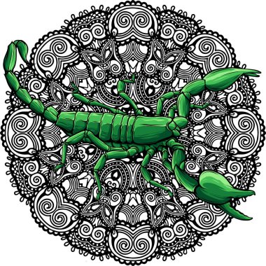 gerçekçi akrep vektör çizimi tasarımı