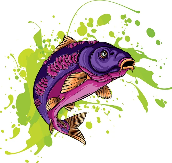 Renkli Sazan Balığı Vektörü Illüstrasyonu — Stok Vektör