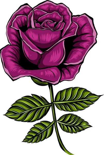 Rose Blume Mit Grünen Blättern — Stockvektor