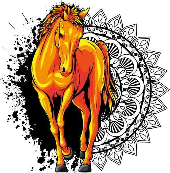 stock vector vector illustration of colored horse