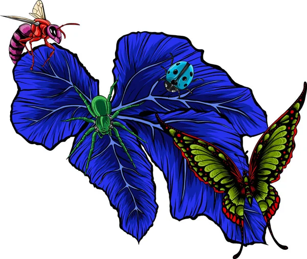 Mariposa Con Alas Colores Ilustración Vectorial — Archivo Imágenes Vectoriales