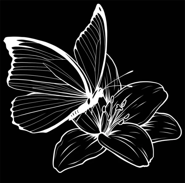 Векторная Иллюстрация Цветок Бабочкой — стоковый вектор