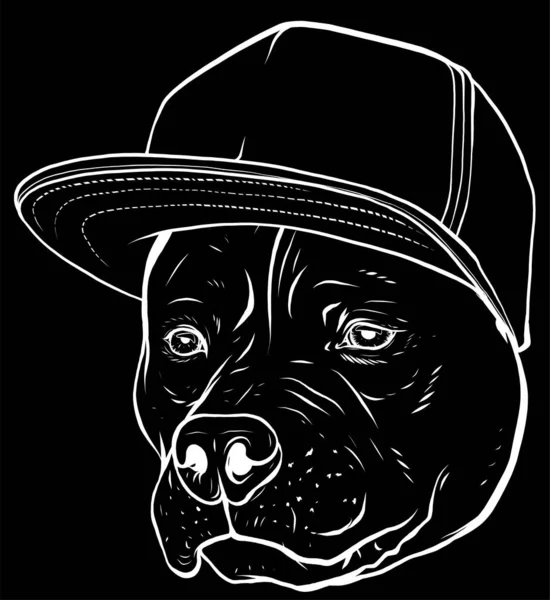 Векторная Иллюстрация Pitbull Cap — стоковый вектор