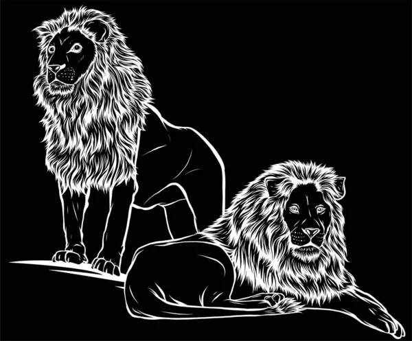 ライオン 黒を基調としたベクトルイラスト — ストックベクタ