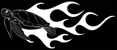 Fast turtles in flame set. Funny racing tortoise cartoon vector
