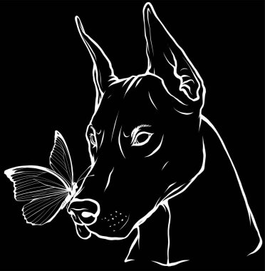 Kelebek desenli Dobermann köpek suratı