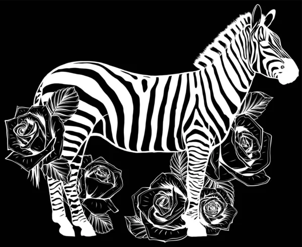 Moda Hipster Fundo Com Mão Desenhada Zebra Segurando Uma Câmera — Vetor de Stock