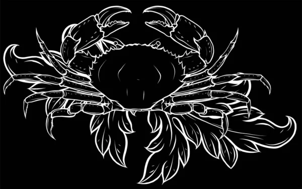 Crabe Isolé Sur Fond Noir — Image vectorielle
