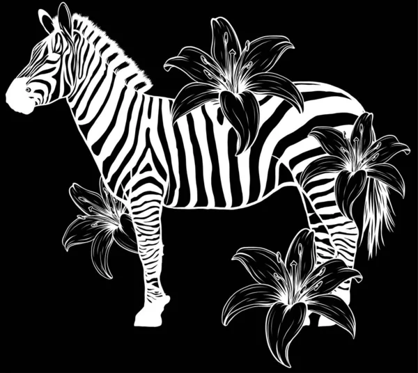Zebra Mit Hibiskusblume Handgezeichnet Vektor Sommer Print Shirt — Stockvektor