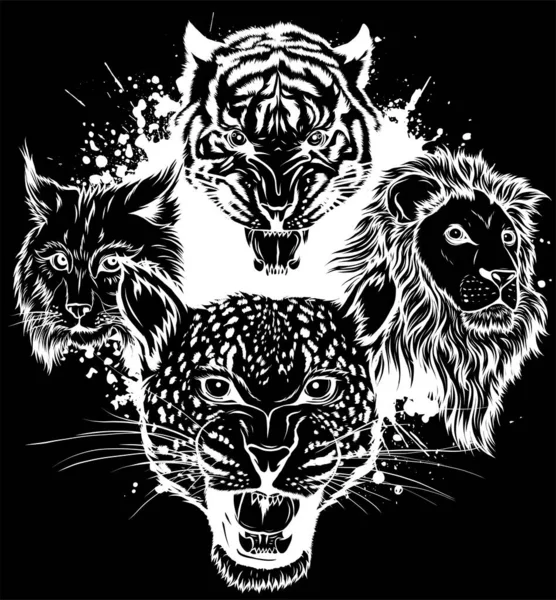 Desenhos Animados Grandes Gatos Vetor Definido Ilustração Cougar Jaguar Leopardo — Vetor de Stock