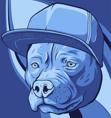 Renkli arkaplanda köpek resmi