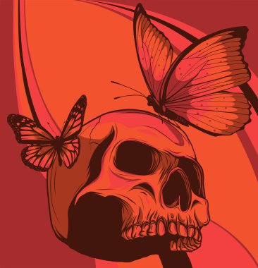 Kafatası görüntü.