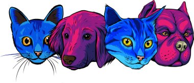 Beyaz arka planda kedi ve köpek evcil hayvanları tasviri