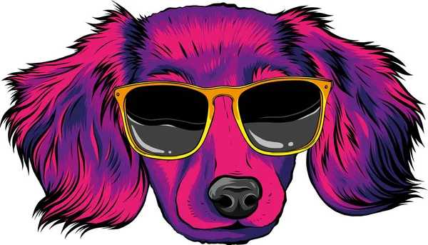 Gordon Cão Setter Raça Com Óculos Sol Pretos — Vetor de Stock