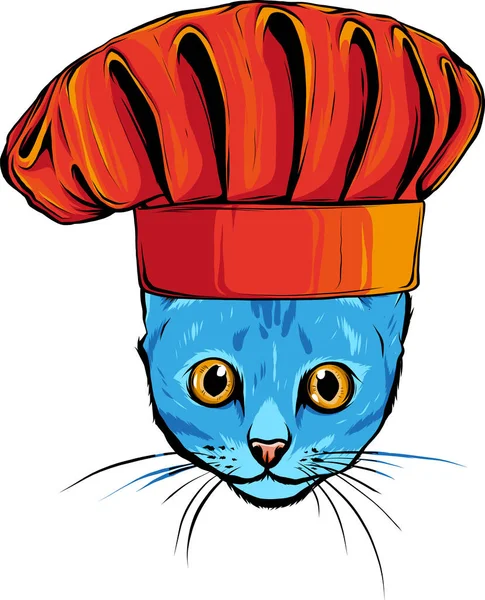 头戴厨师帽的猫头图解 — 图库矢量图片