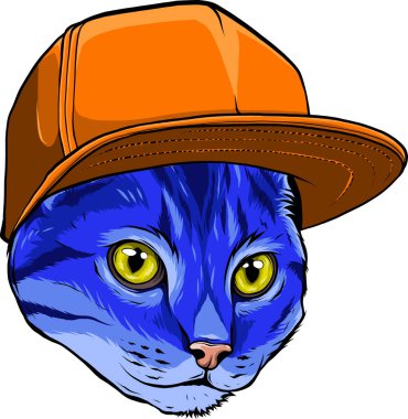 Kedi Şapkası Maskot Logosu Tasarımı