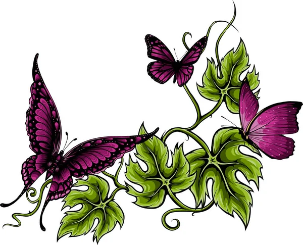 Иллюстрация Бабочек Цветов Изолированных Белом — стоковый вектор