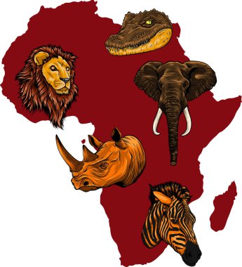 Afrika 'nın vahşi yaşamı, dünya kıtası. Flora ve Fauna.