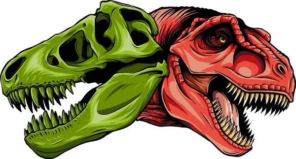 Ilustración Tyrannosaurus Rex Con Cráneo — Archivo Imágenes Vectoriales