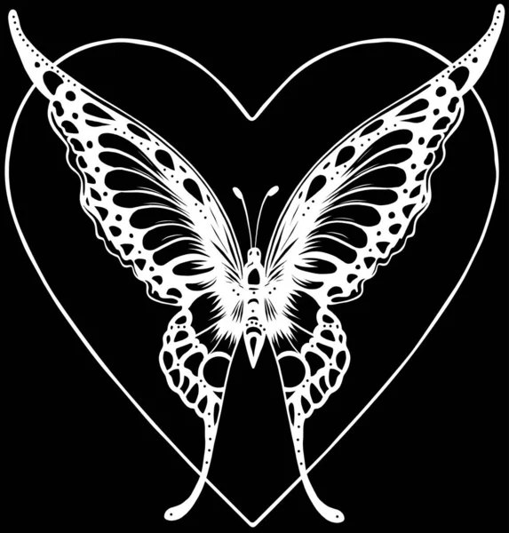 黒の背景に白い線で蝶 — ストックベクタ