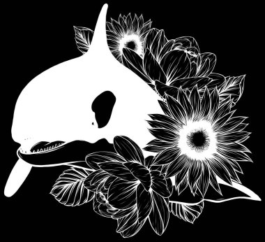 Çizgi film katil balinası. Vektör illüstrasyonu.