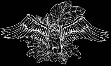 Geniş Kanatlı Kel Kartal Vektör Çizgisi