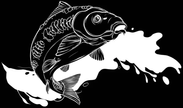Карп Ручной Работы Черное Белое Векторный Эскиз Изолированной Рыбы — стоковый вектор