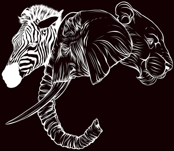 Černobílá Grafická Ilustrace Sloní Hlavy — Stockový vektor