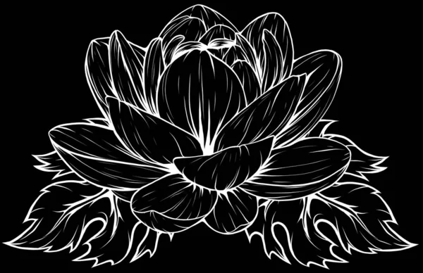 Ilustracja Zarysu Kwiatu Lotosu — Wektor stockowy