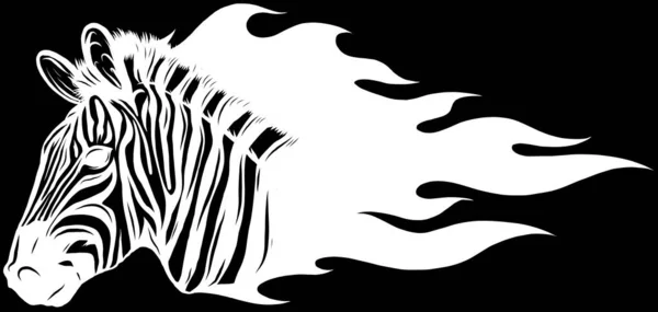 ゼブラ動物イラスト ベクトル黒と白 — ストックベクタ