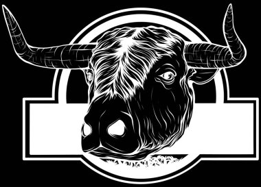 İnek kafasının siyah beyaz rengi